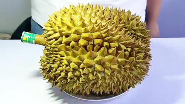 榴莲买什么样的好（怎样挑选榴莲）