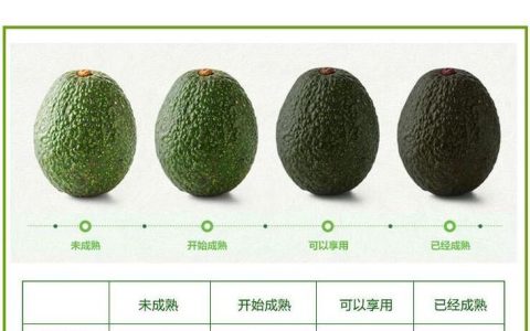 如何挑选牛油果（怎样挑选牛油果比较好）