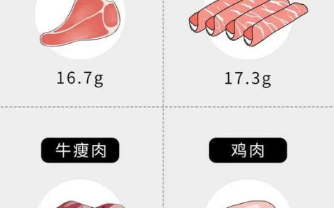 肉属于蛋白质还是脂肪（肉属于碳水化合物吗）