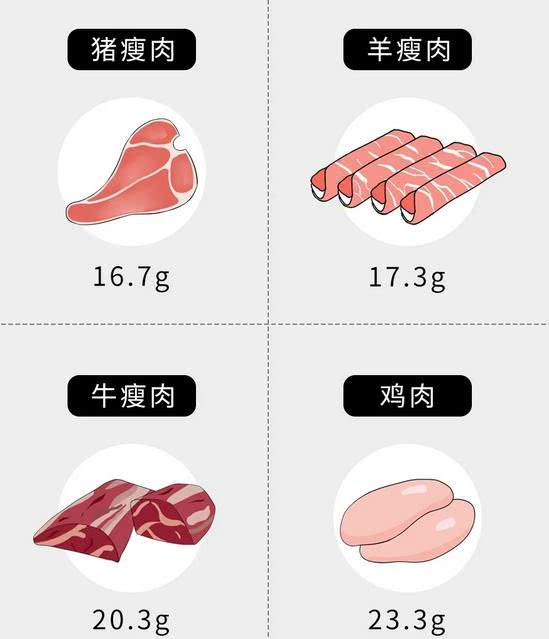 肉属于蛋白质还是脂肪（肉属于碳水化合物吗）