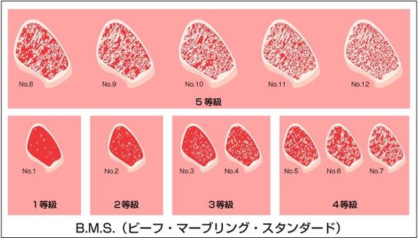 霜降牛肉，到底和霜降是什么关系？