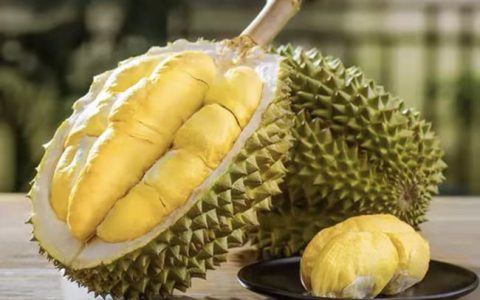 榴莲不打开能保存多久（没开榴莲可以保存多久）