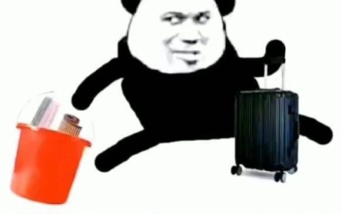 跑路是啥意思（提桶跑路是什么梗）