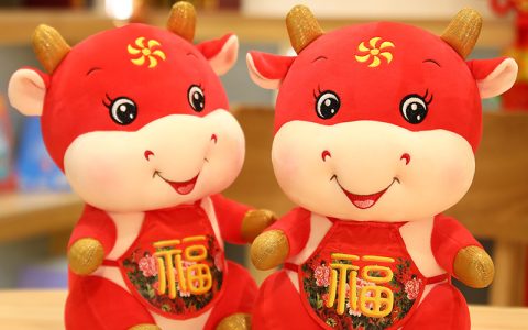 丑年是哪一年（丑年是什么意思）