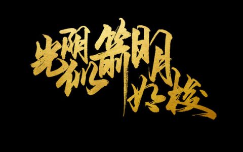 日月如梭的前一句是什么（日月如梭什么意思）