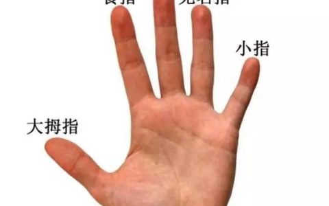 一扎多长（手指一扎多长）