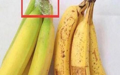 香蕉能放冰箱冷藏吗（香蕉冬天怎么保存）