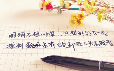 努力奋斗的唯美句子（努力生活的文案句子）