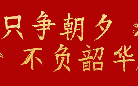 不负韶华的完整句子（不负韶华什么意思）