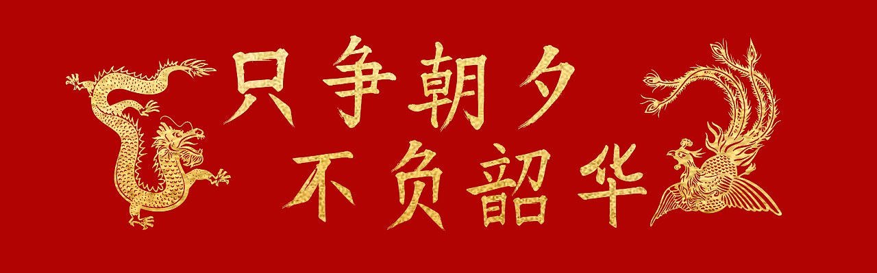 不负韶华的完整句子（不负韶华什么意思）
