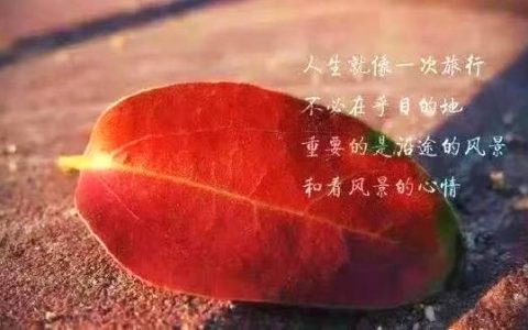 抖音文案生活感悟（抖音最火走心的句子）