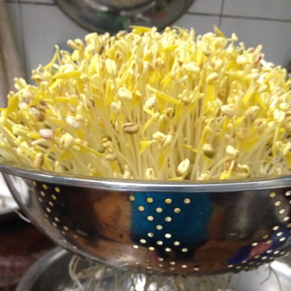 豆芽是蔬菜类吗（豆芽是豆类还是蔬菜类）