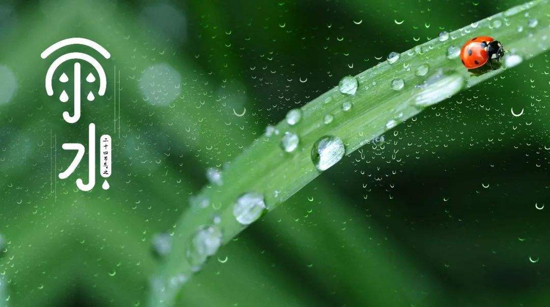 形容雨的唯美句子（下雨天精辟简短句子）