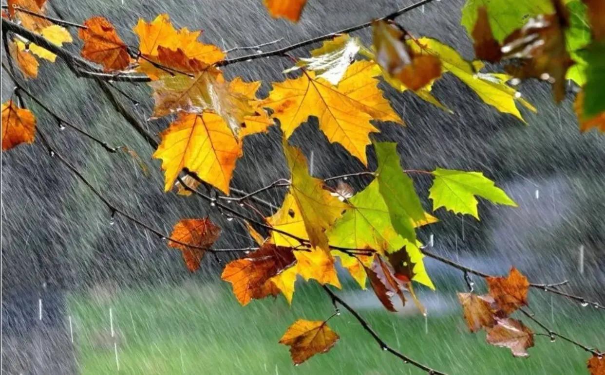 形容雨的唯美句子（下雨天精辟简短句子）