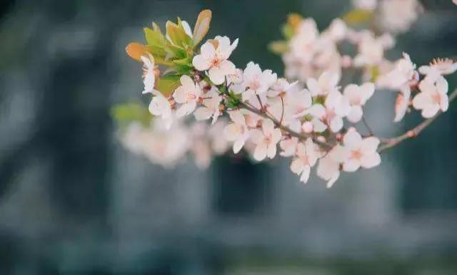 春夏交替的唯美句子（春夏秋冬的唯美短句）