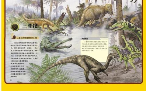 侏罗纪白垩纪三叠纪顺序（三叠纪白垩纪侏罗纪的顺序）