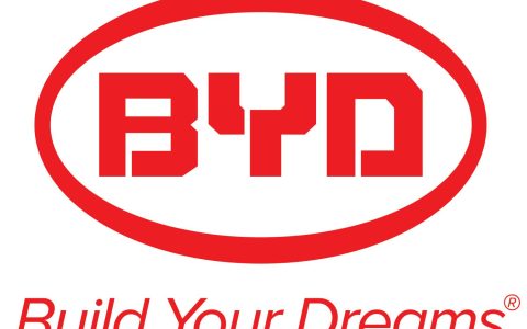 骂人byd是什么梗（byd是什么意思）