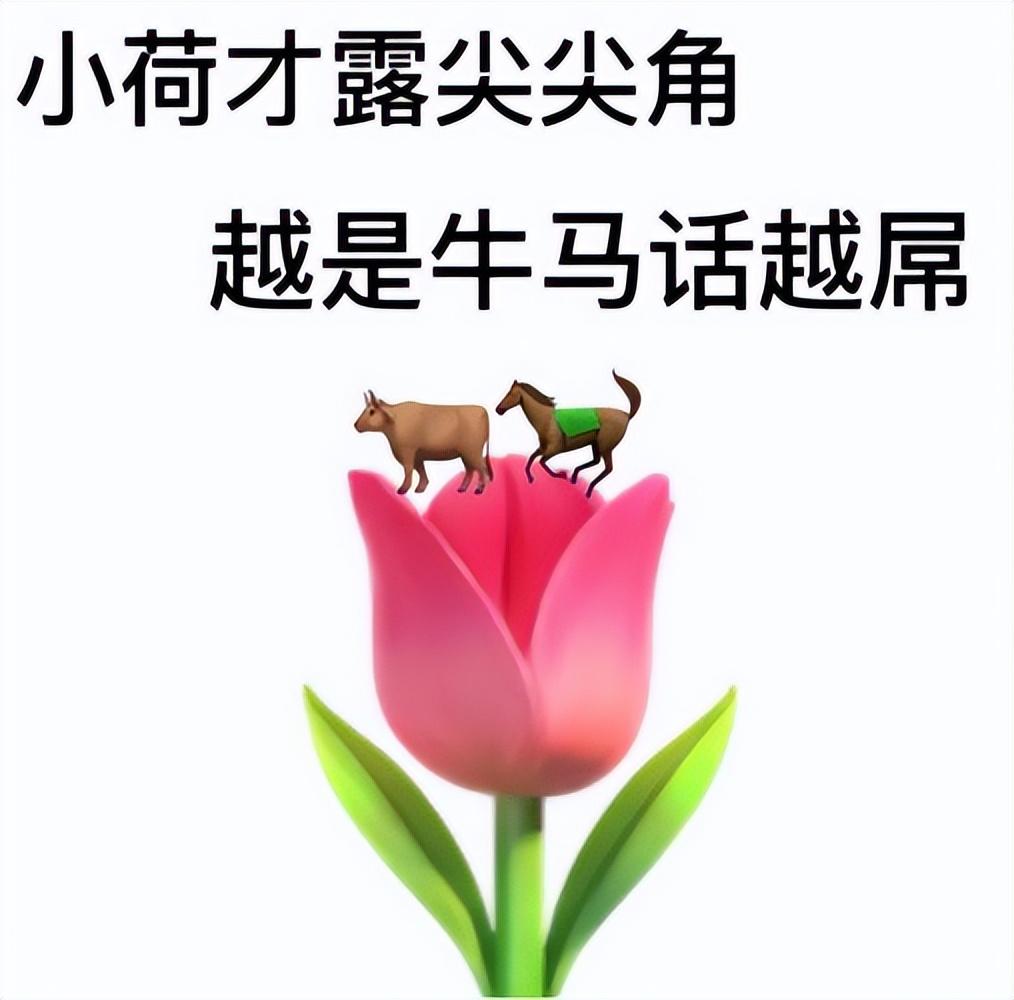 别人骂你牛马什么意思（你我皆是牛马是什么梗）