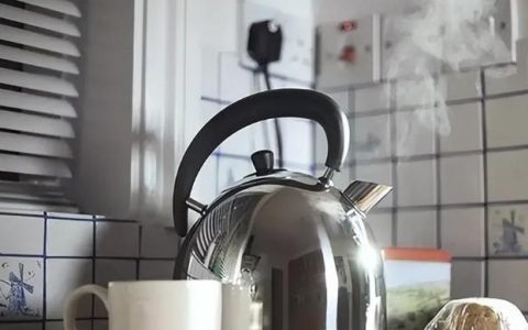 家里有蟑螂怎么办能除根？消灭蟑螂最好的方法