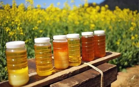 蜂蜜怎么保存要放冰箱里吗（蜂蜜的正确储存方法）