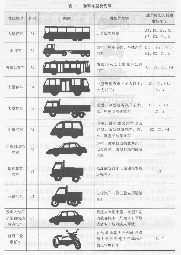 c3驾照开什么车（c3驾照怎么考）