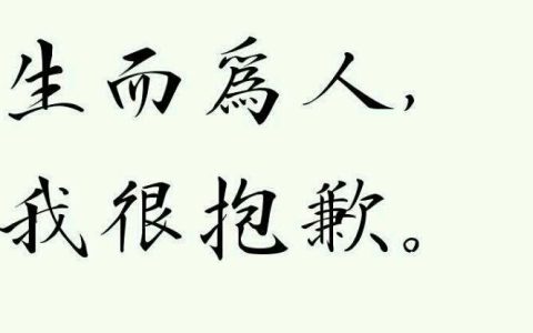 生而为人下一句是什么（生而为人我很抱歉是什么意思）