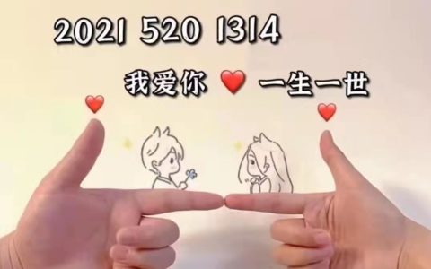 520沙雕文案（520最火的短句子）