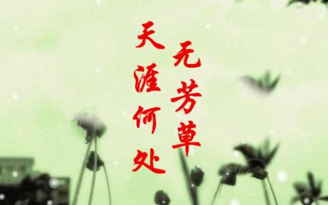 何必单恋一枝花的上句是什么（何必单恋一枝花什么意思）