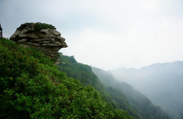 河南海拔是多少？河南海拔最高的四座城市