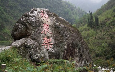 神农架林区是哪个市（神农架林区是地级市吗）