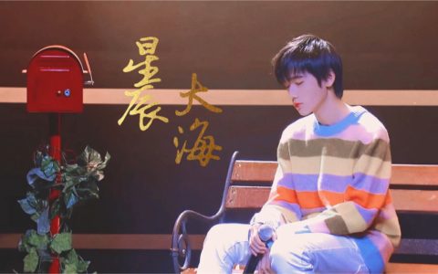 星辰大海表达什么感情（星辰大海歌曲歌词）