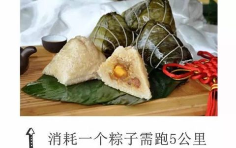 粽子和米饭哪个热量高（粽子的热量高还是米饭的热量高）