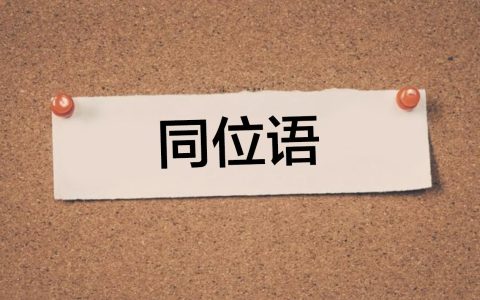 什么叫同位语（同位语有哪些用法）