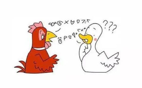 鸡同鸭讲是成语吗（鸡同鸭讲的搞笑段子）