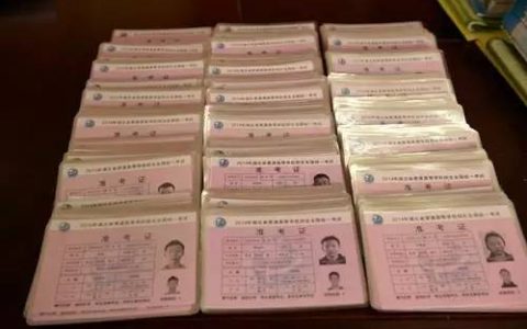 学籍号是学号吗（学籍号是什么）
