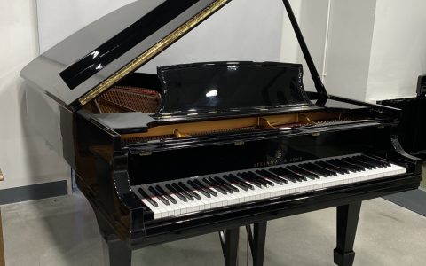 电子琴跟钢琴有什么区别(钢琴和电子琴有什么区别)