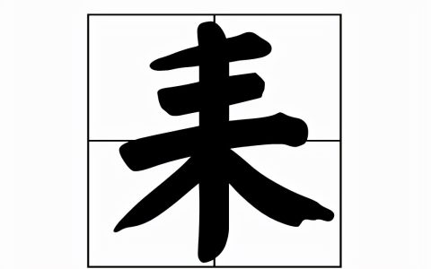 末加一横是什么字（末加偏旁组词）
