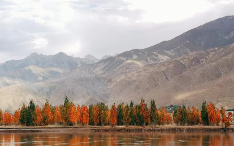 满目山河空念远的意思(满目山河空念远下一句是什么)