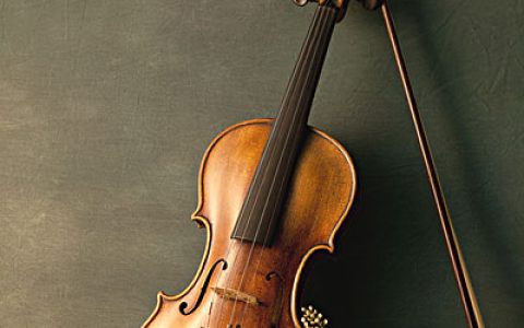 fiddle和violin的区别（fiddle是什么乐器）
