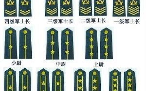 部队大校是什么级别（部队大校是什么军衔）