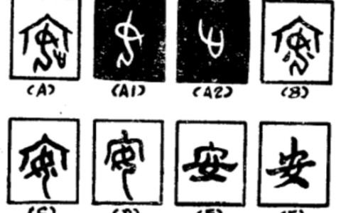 安在文言文中的意思（文言文安的用法和意义）
