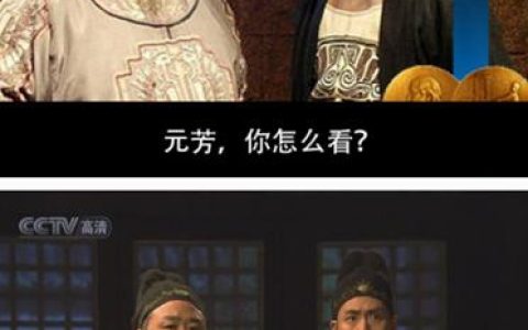 元芳的梗是什么意思（元芳到底是什么意思）