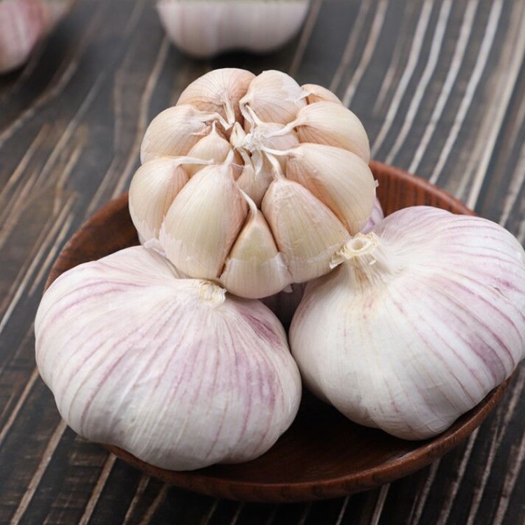 荞头和蒜头是一样的吗（荞头是什么）