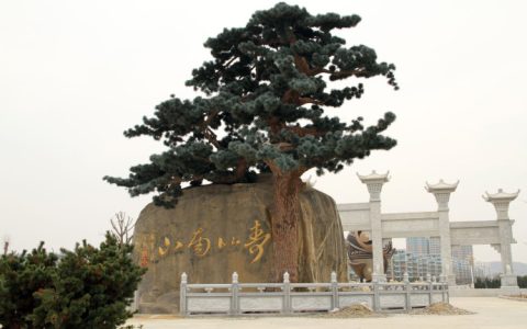 寿比南山不老松的下联（寿比南山下一句怎么接）