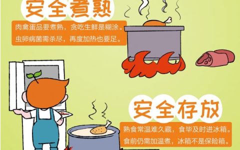 食品安全五大要点（食品安全五大要点是什么）