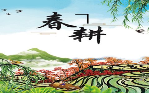 春耕的文案（农忙的句子经典语录）