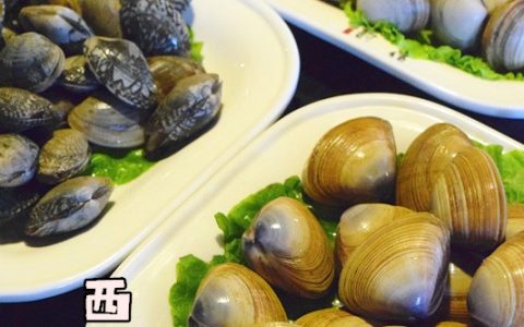 花蛤和蛤蜊的区别(花蛤和蛤蜊一样吗)