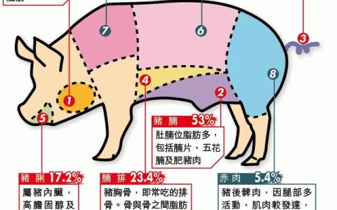 小里脊肉是哪个部位（小里脊和大里脊的区别）