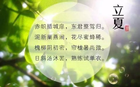 立夏的经典语录（立夏精辟的句子）