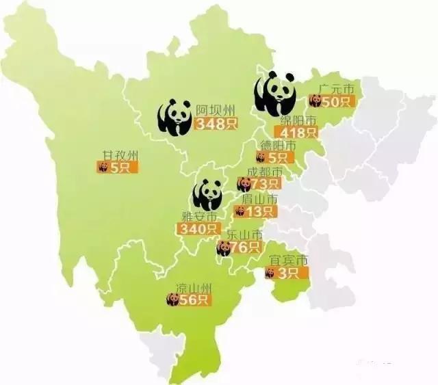 大熊猫分布在什么地区（大熊猫主要分布在哪些地方）